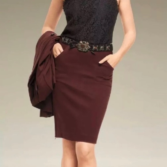 CAbi Dresses & Skirts - ✨NEW CAbi Boss Pencil Skirt